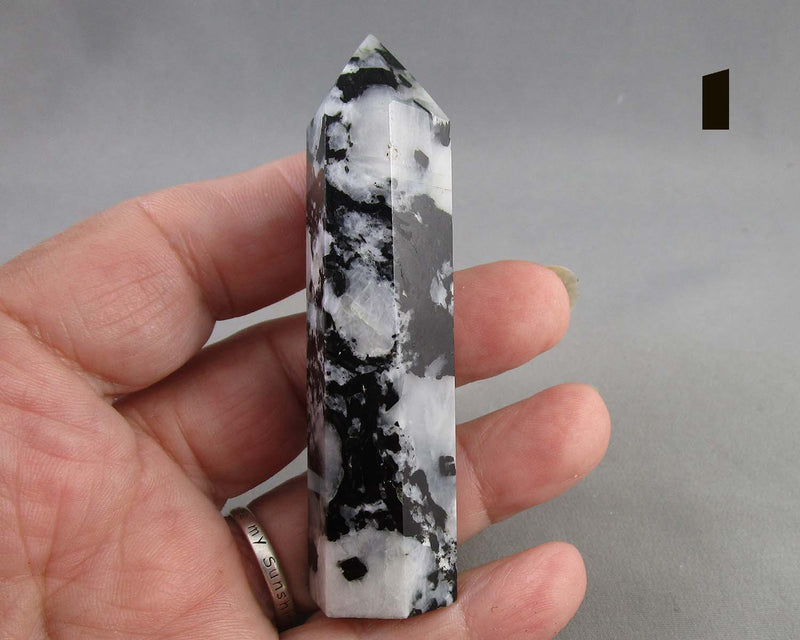 You Choose!  Rainbow Moonstone Standing Points
