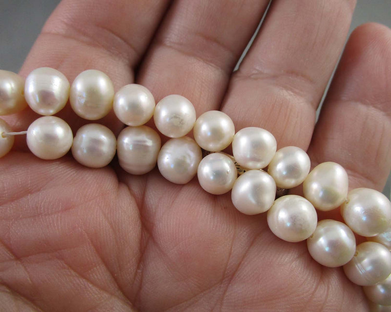 Cultured Freshwater Pearls Drilled (A Grade) Cream (C394)