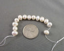 Cultured Freshwater Pearls Drilled (A Grade) Cream (C394)