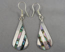 Abalone Shell Gemstone Earrings H087-2