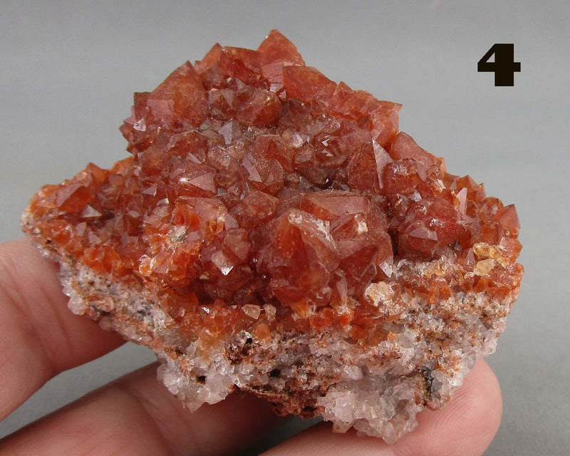 NEW Crystal Specimen Drop Oct 11th