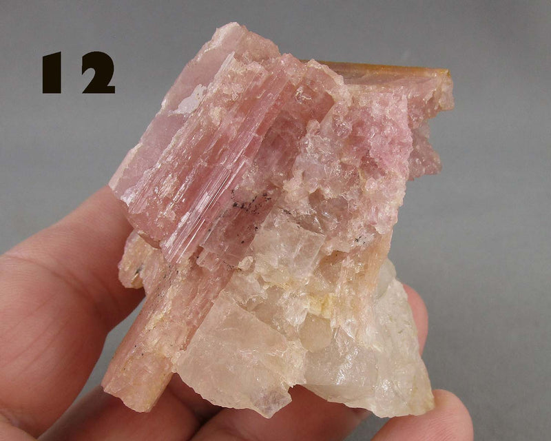 NEW Crystal Specimen Drop Oct 11th