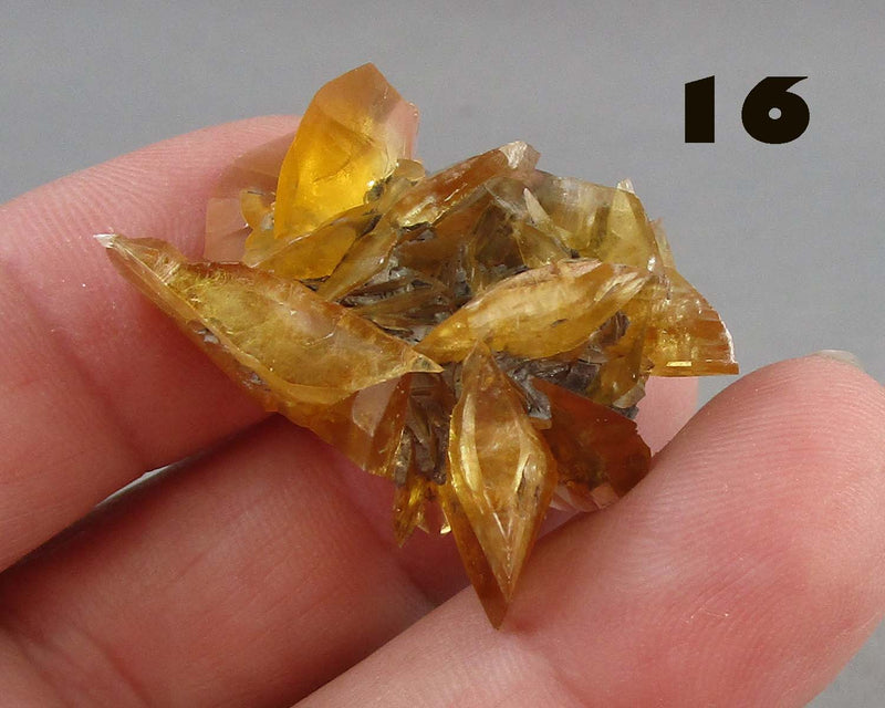 NEW Crystal Specimen Drop Oct 11th