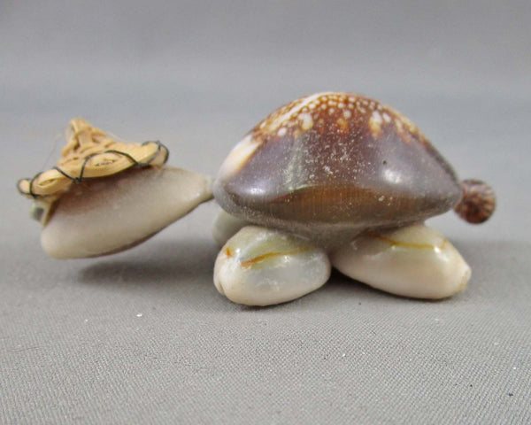 Shell Turtle 1 pc H066-12