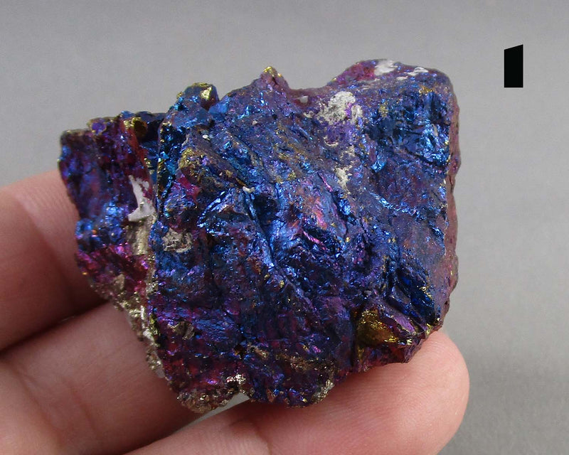 You Choose! Premium Rainbow Peacock Ore