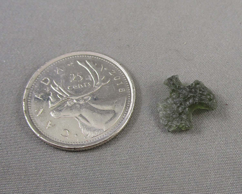 Moldavite Crystal 1pc B024-8