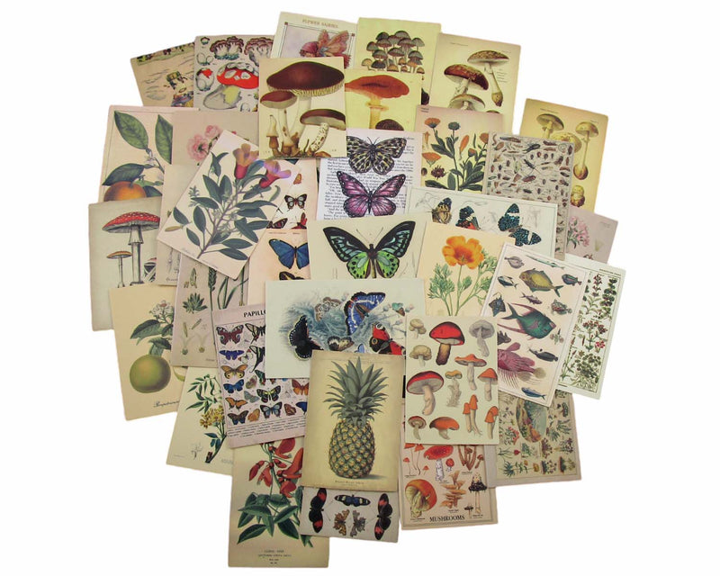 Vintage Lithograph Style Sticker Pack - Waterproof PVC Stickers 100pc J047