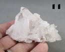You Choose!  Clear Quartz Crystal Cluster