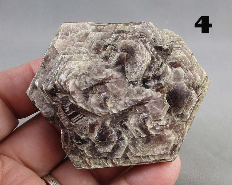 NEW Crystal Specimen Drop Oct 17th