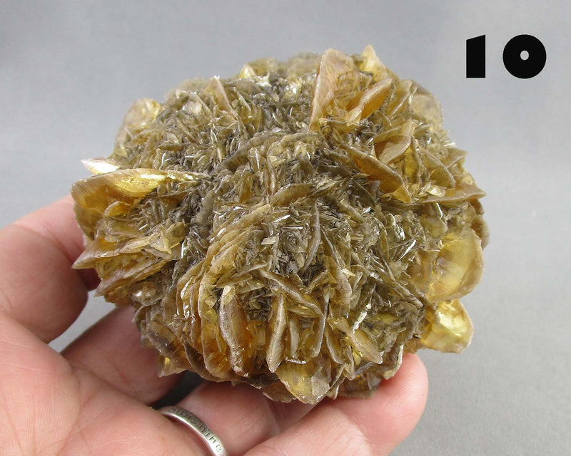 NEW Crystal Specimen Drop Oct 17th