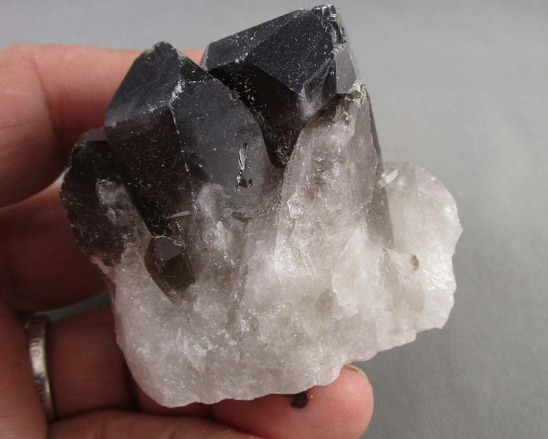 Black Quartz Crystal Cluster 1pc B082-3