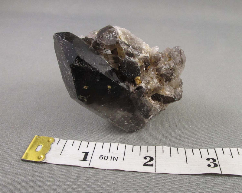 Black Quartz Crystal Cluster 1pc B032-1