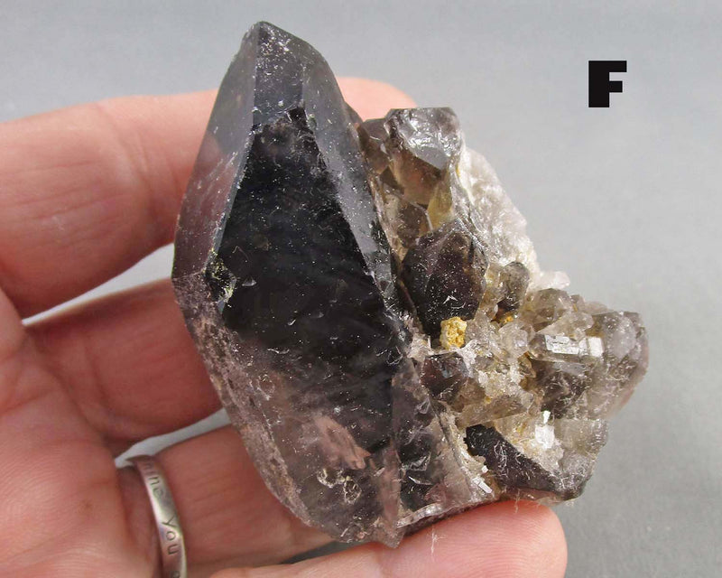 You Choose!  Black Quartz Crystal Cluster 1pc