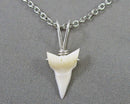 Shark Tooth Pendant Necklace 925 Sterling Silver J008