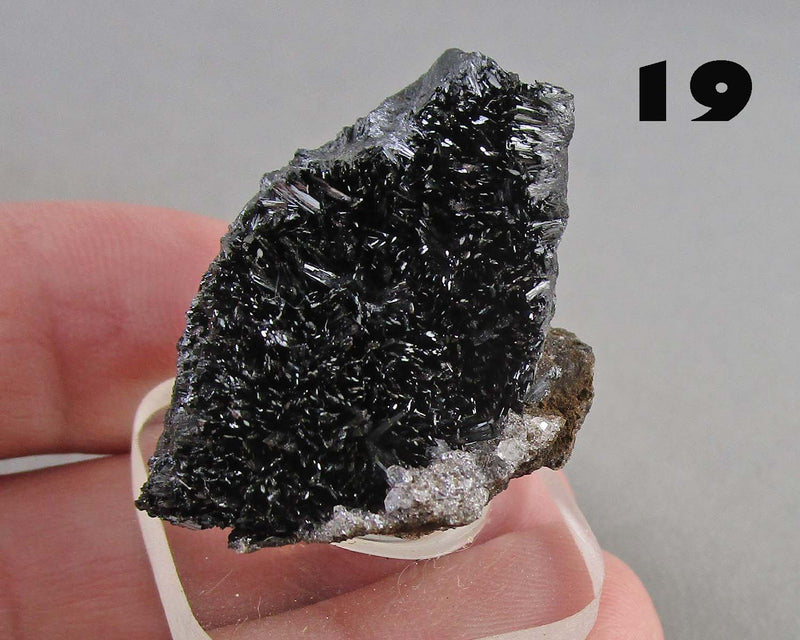 NEW Crystal Specimen Drop Oct 25th