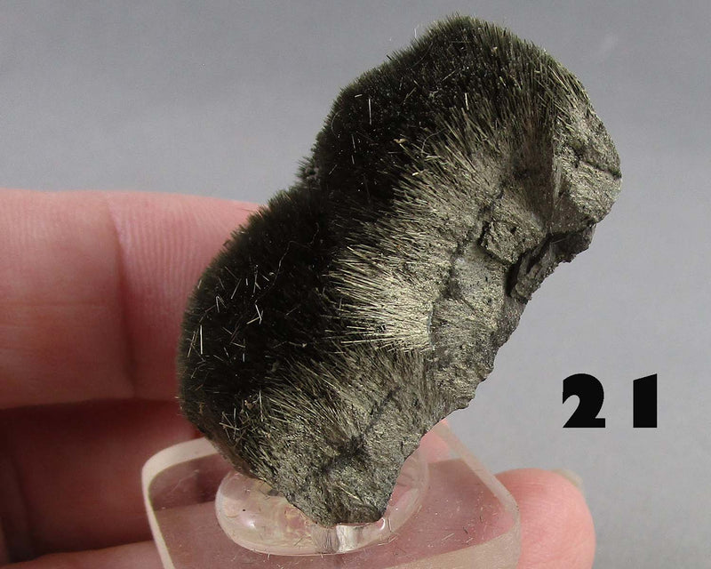 NEW Crystal Specimen Drop Oct 25th