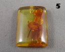 You Choose!  Amber Drilled Cabochon