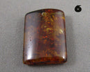 You Choose!  Amber Drilled Cabochon