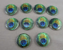 Glass Peacock Feather Beads 10pc Z013