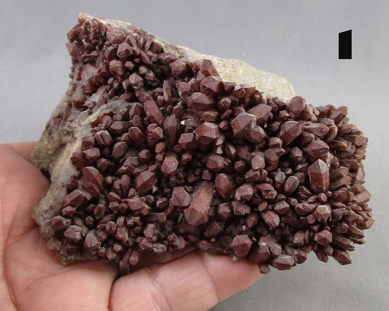 NEW Crystal Specimen Drop Oct 31st