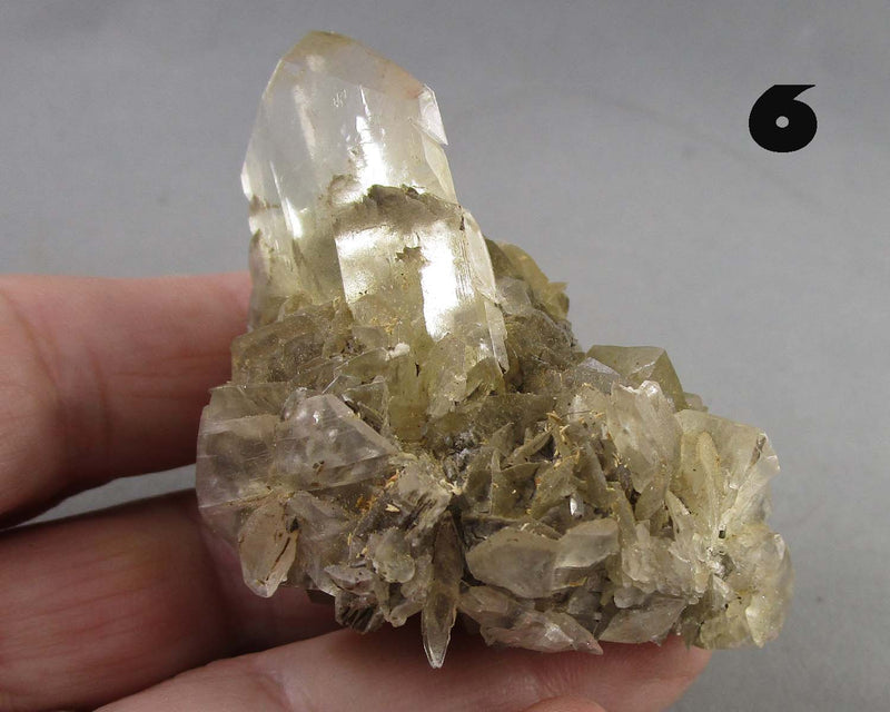 NEW Crystal Specimen Drop Oct 31st