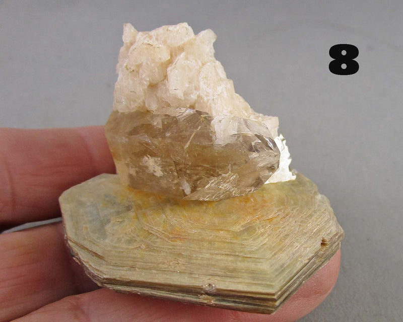 NEW Crystal Specimen Drop Oct 31st