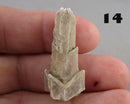 NEW Crystal Specimen Drop Jan 11