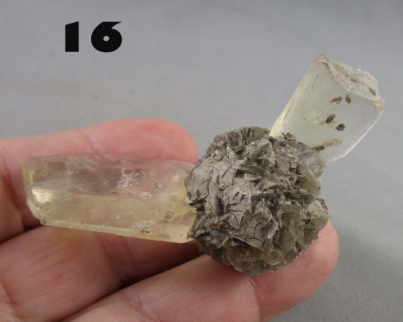 NEW Crystal Specimen Drop Oct 31st