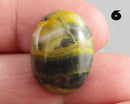 You Choose! Bumble Bee Jasper Cabochon 20x15mm
