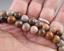 Petrified Wood Beads Round Various Sizes