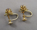 Aurora Borealis Crystal Earrings Screw Back (Vintage) H105-21