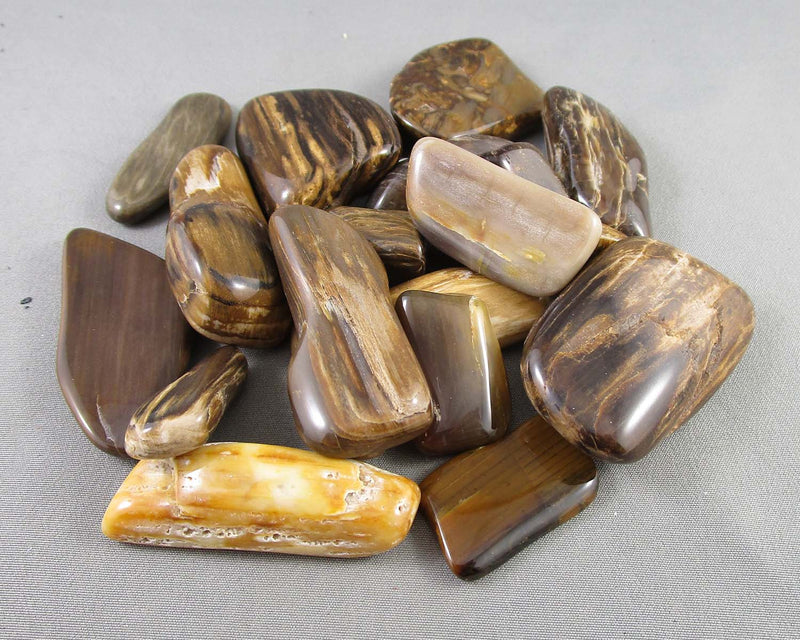 Petrified Wood Polished Stones 3pcs Z003