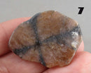 You Choose!  Chiastolite Polished Slice
