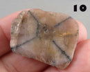 You Choose!  Chiastolite Polished Slice