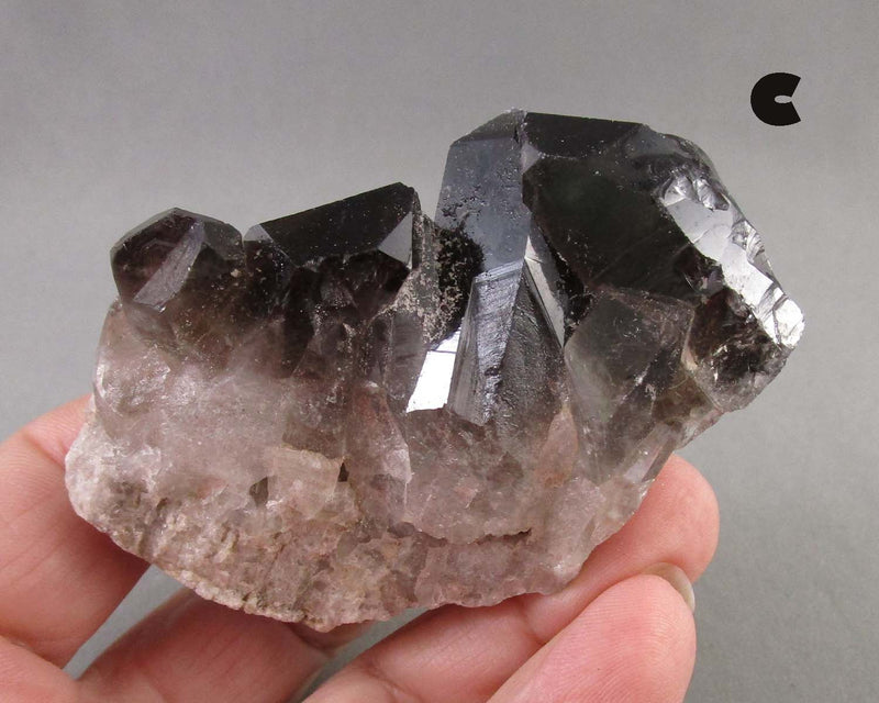 You Choose!  Black Quartz Crystal Cluster 1pc