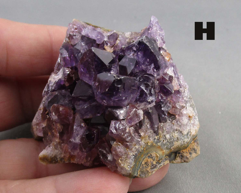 You Choose! Amethyst Stand Up Crystal Cluster 1pc