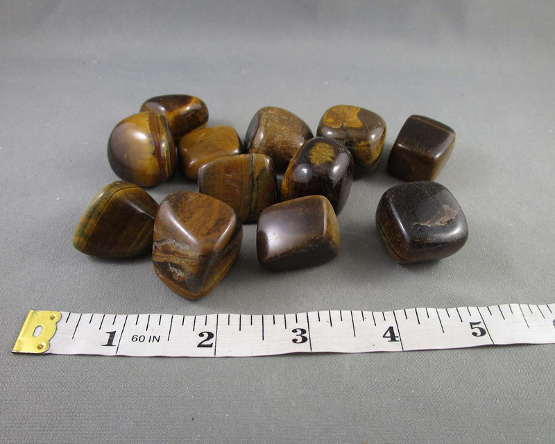 Tiger Eye Polished Stones (Medium) 3pc J258