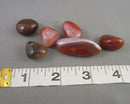 Carnelian Polished Stones (Medium) 3pcs J174