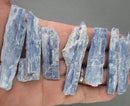 Blue Kyanite Crystal Blades Raw 5pcs J217**