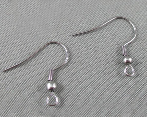 Fish Hook Earrings Stainless Steel 10 pairs (C057)