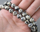 Dalmatian Jasper Beads Round Various Sizes