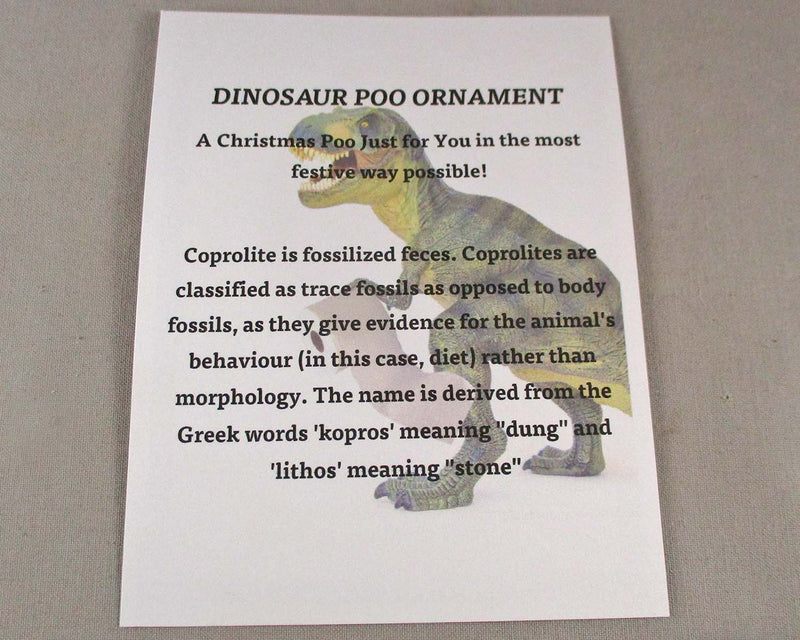 Dino Poo Christmas Ornament (Coprolite) 1pc A461