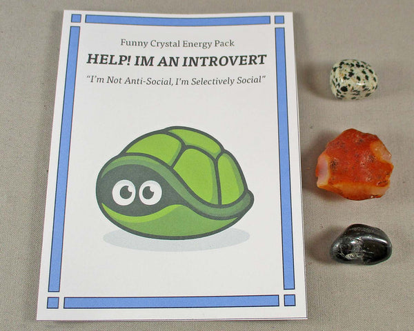 "The Help! I'm an Introvert" Funny Crystal Energy Kit A513