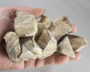 Picture Jasper Raw Stones 3pcs H135**