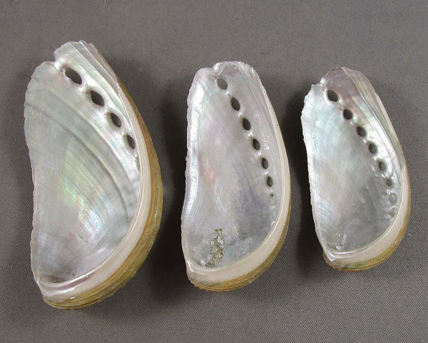 Abalone Shells Small Smoke Cleansing Bowls 3pc A185