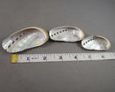 Abalone Shells Small Smoke Cleansing Bowls 3pc H011**