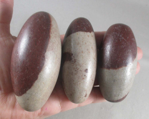 Shiva Lingam Stone Stone 3" 1pc H085