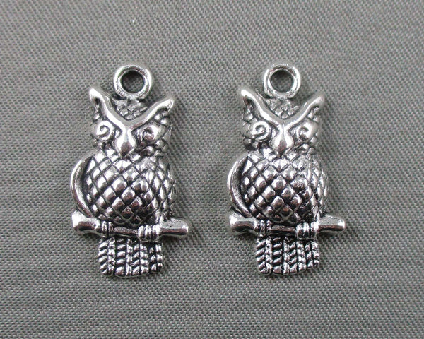 50% OFF!! Owl Charm Silver Tone 12pcs (1778)