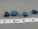 Rainbow Peacock Ore 2pcs (Medium) (H003)