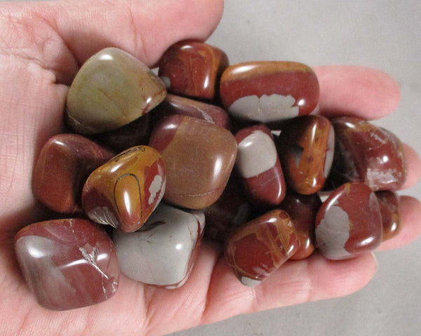 Noreena Jasper Polished Stones 3pcs T589